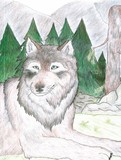 by Spirit  Wolf