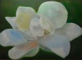 by Rita Benz
