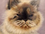 by Marion Dutton