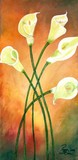 by Peggy Garr