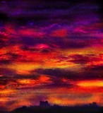 by Snook Berry