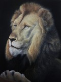by Paul Rawnsley