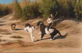 by Nancy Arnold