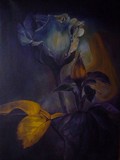 by Cene gál István