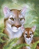 by Tracy Herrmann