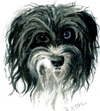 by DeLaine  Klar