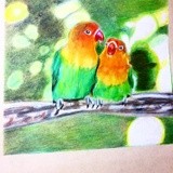 by yubirna paulino