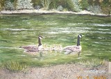 by cathy Gemkow