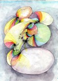 by Sandi Traver
