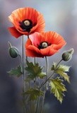 by Mihaela B