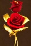 by Mihaela B