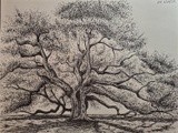 by Nicholas Akers