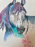 by Ariella Belau