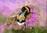 by Alina Contis