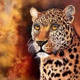 by Dr. Priyanjalee Banerjee
