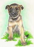 by Gayle Taylor