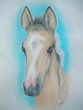 by Gayle Taylor