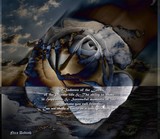 by Nira Dabush