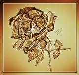by Nira Dabush