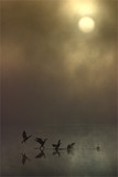 by Don Roberts