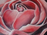by Eileen Kasprick