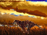 by John Graham Inkson