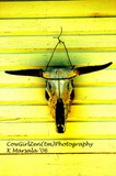 by CowGirlZen Artworks
