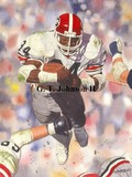 by Gerard Johnson II
