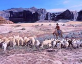 by John Watt