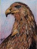 by Terri Walker