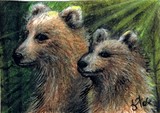 by Terri Walker
