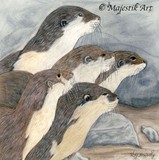 by Vicky Kenworthy