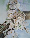 by Mary Tevebaugh
