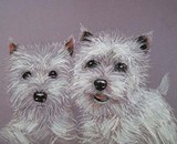 by Trish Ray