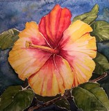 by Ingrid Kolster
