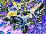 by marcia keller