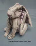 by Donnas Peterson