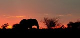 by Marie Strydom