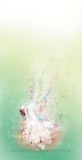 by Ho Tik