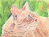 by Julie Brown