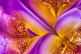by Greg Summers