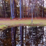 by Johnnie Jumper III