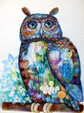 by oxana zaika