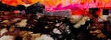 by Kathy Morton-Stanion