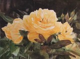 by Susan Kennedy