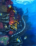 by jennifer  belote