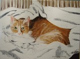 by Sharon De Vore