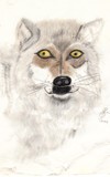 by Terry Dunn