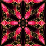 by JENNIFER KESSELL