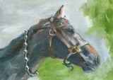 by Kathy Schoeppner